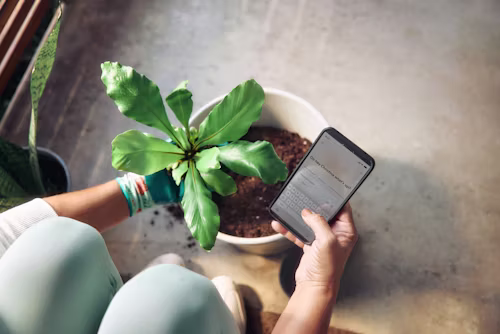 Effective tips to remove malware and protect your device