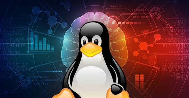 Open Source Software Alternatives: The Best Free Tools for Tech Beginners